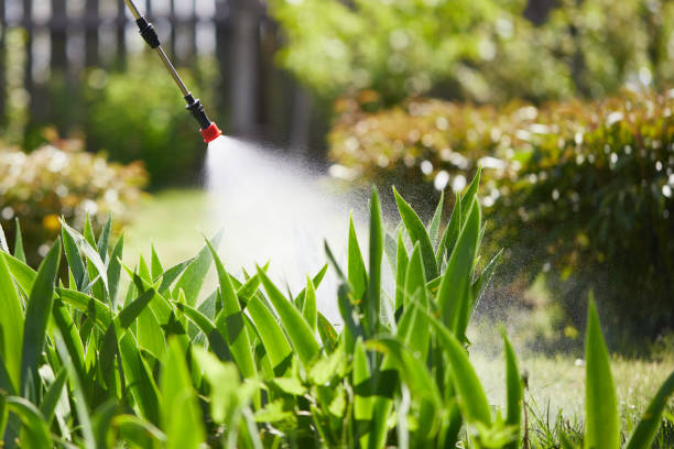 24/7 Emergency Mosquito Control experts in Stevenson, WA